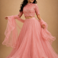 Blush Pink Organza Lehenga Set with Intricately Embroidered High-Neck Blouse and Ruffle Dupatta