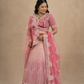 Blush Pink Heritage Bridal Lehenga Set with Intricate Silver Zardozi Embellished Elegance