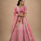 Blush Pink Heritage Bridal Lehenga Set with Intricate Silver Zardozi Embellished Elegance