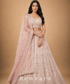 Blush Pink Embroidered Lehenga with Sheer Dupatta