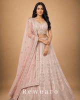Blush Pink Embroidered Lehenga with Sheer Dupatta