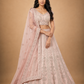 Blush Pink Embroidered Lehenga with Sheer Dupatta
