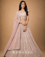 Blush Pink Embroidered Lehenga with Sheer Dupatta