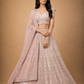 Blush Pink Embroidered Lehenga with Sheer Dupatta