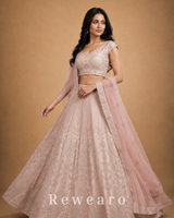 Blush Pink Embroidered Lehenga with Sheer Dupatta