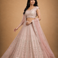 Blush Pink Embroidered Lehenga with Sheer Dupatta