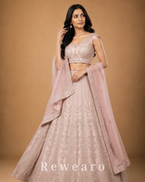 Blush Pink Embroidered Lehenga with Sheer Dupatta