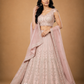 Blush Pink Embroidered Lehenga with Sheer Dupatta