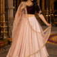 Blush Ivory Silk Lehenga Set with Wine Velvet Embroidered Blouse and Net Dupatta