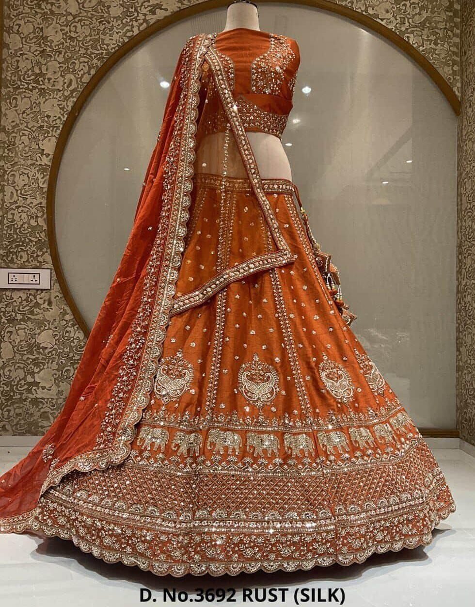 img 20260219 111124 387